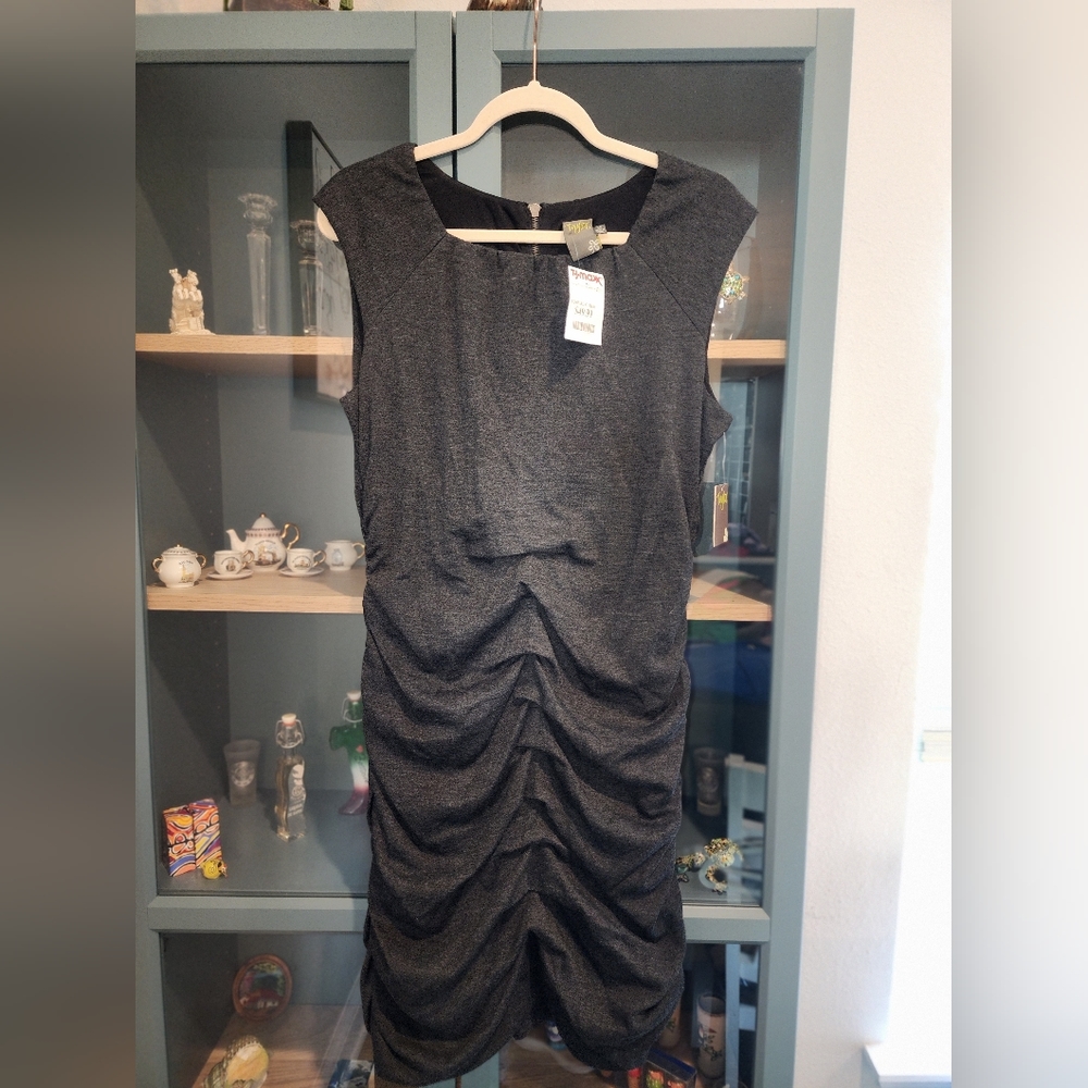 Taylor Dress size 14 gray